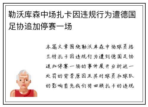 勒沃库森中场扎卡因违规行为遭德国足协追加停赛一场